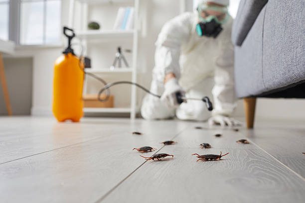 Commercial Kitchen Cockroach Control in Centre Hall